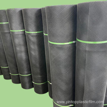 Rigid Black Plastic Mesh For Beans Drying Bed